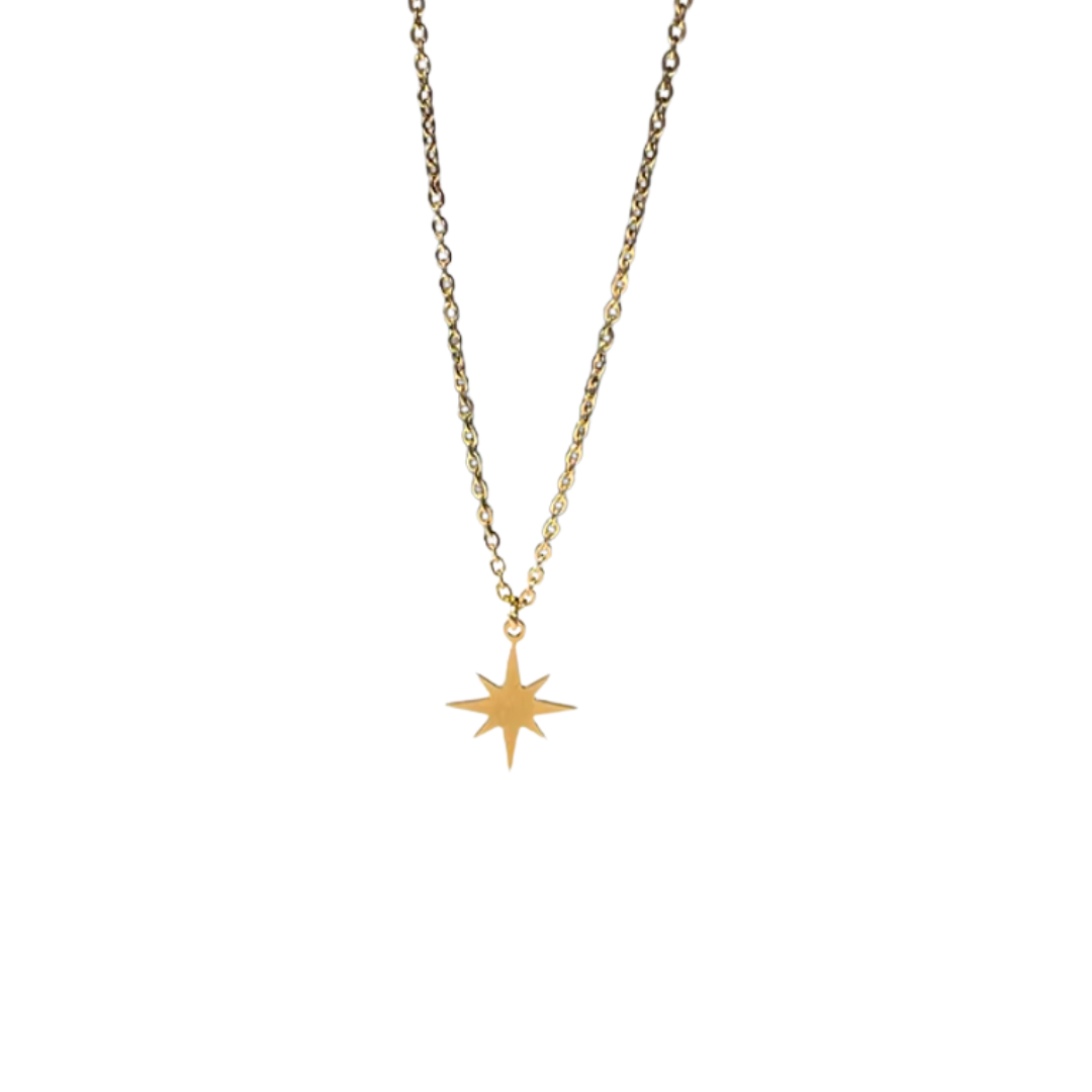 Gouden Fijne Ster Ketting Dames
