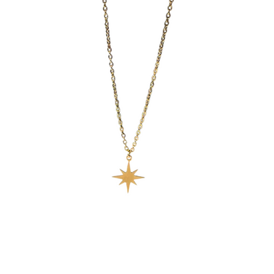 Gouden Fijne Ster Ketting Dames